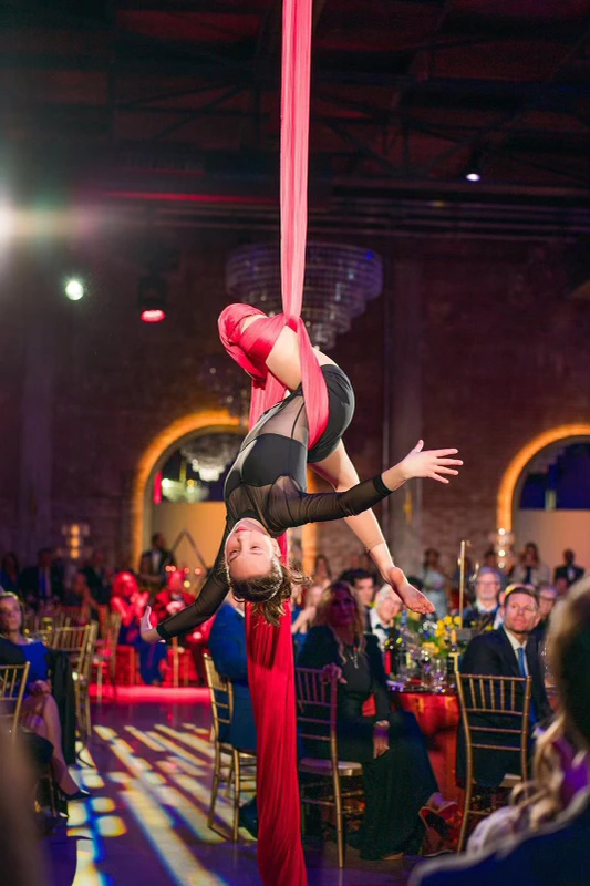 Coach Dana on aerial silks
