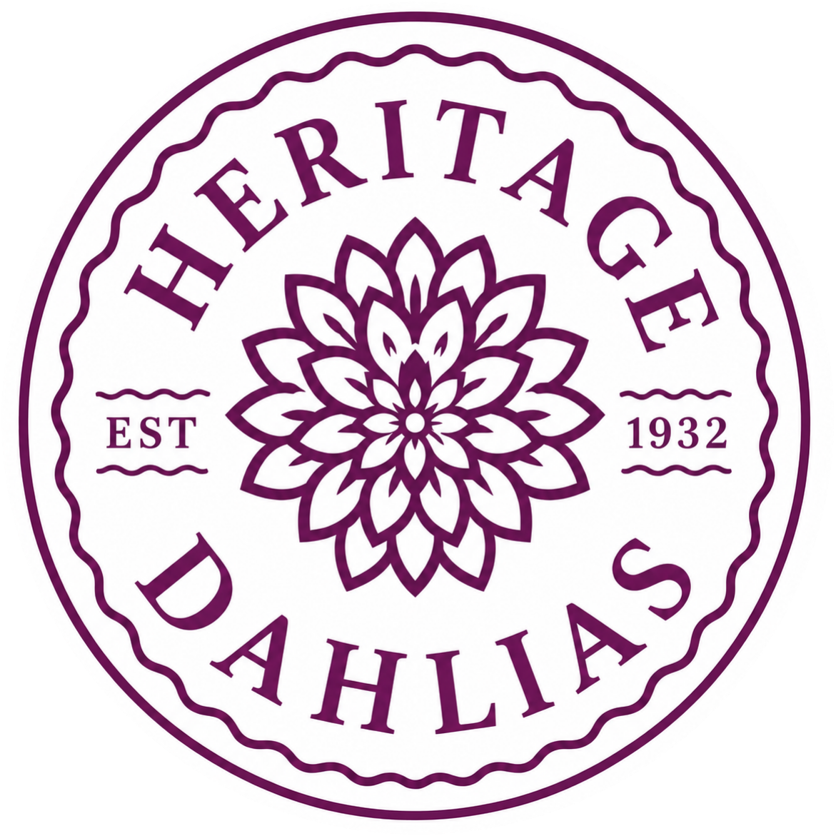 Heritage Dahlias