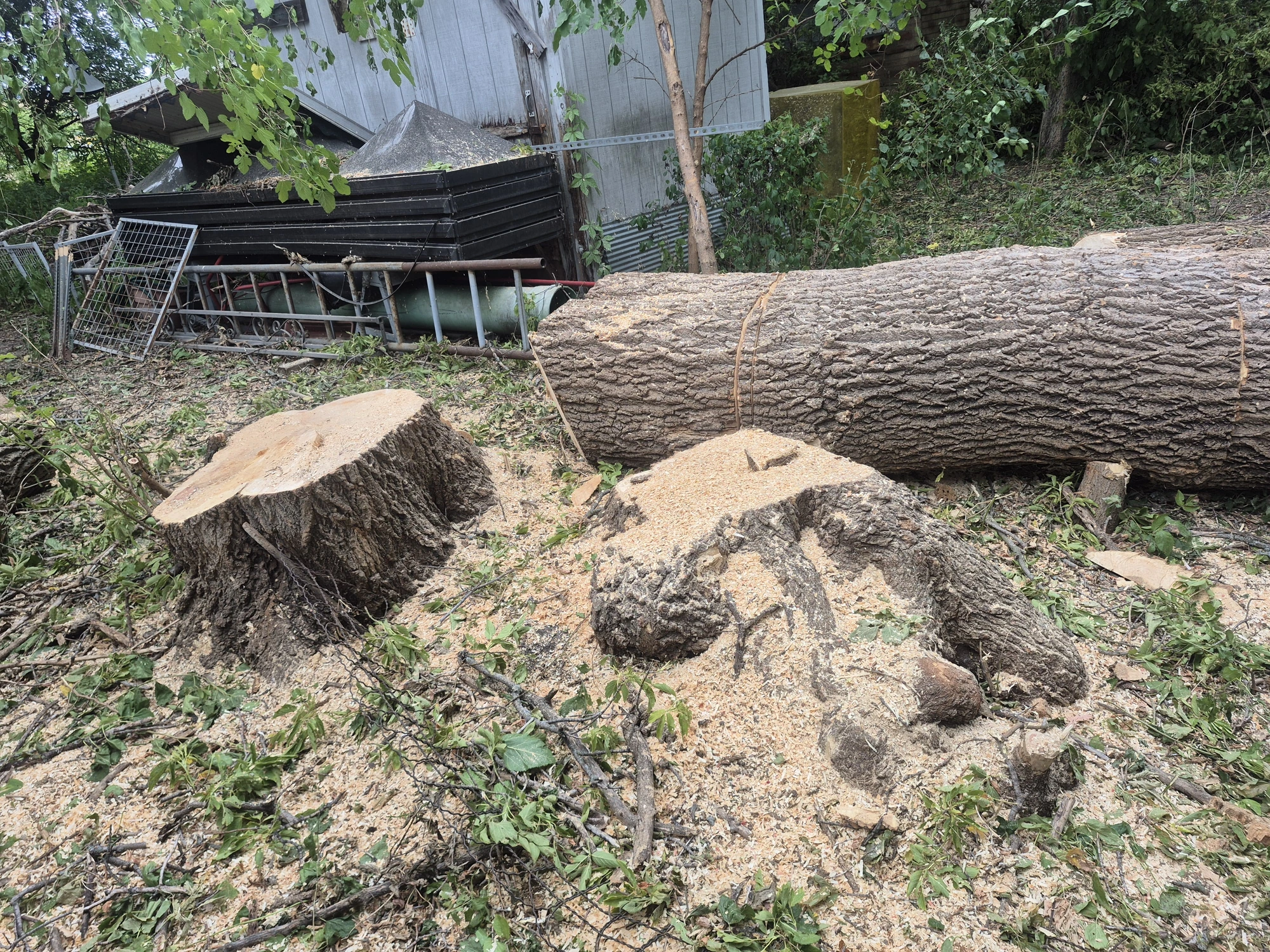 Site clean-up stage