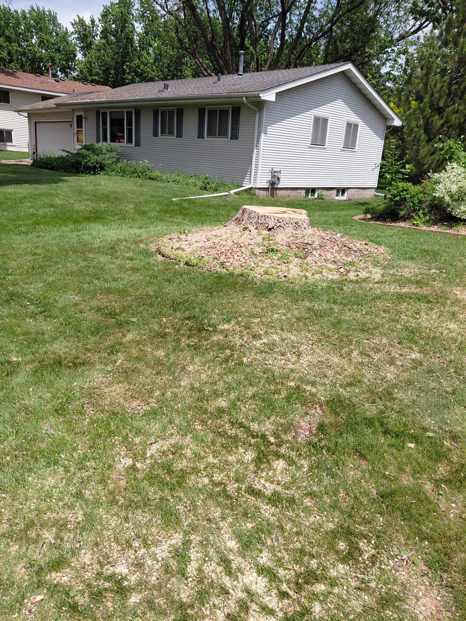 Timber staging