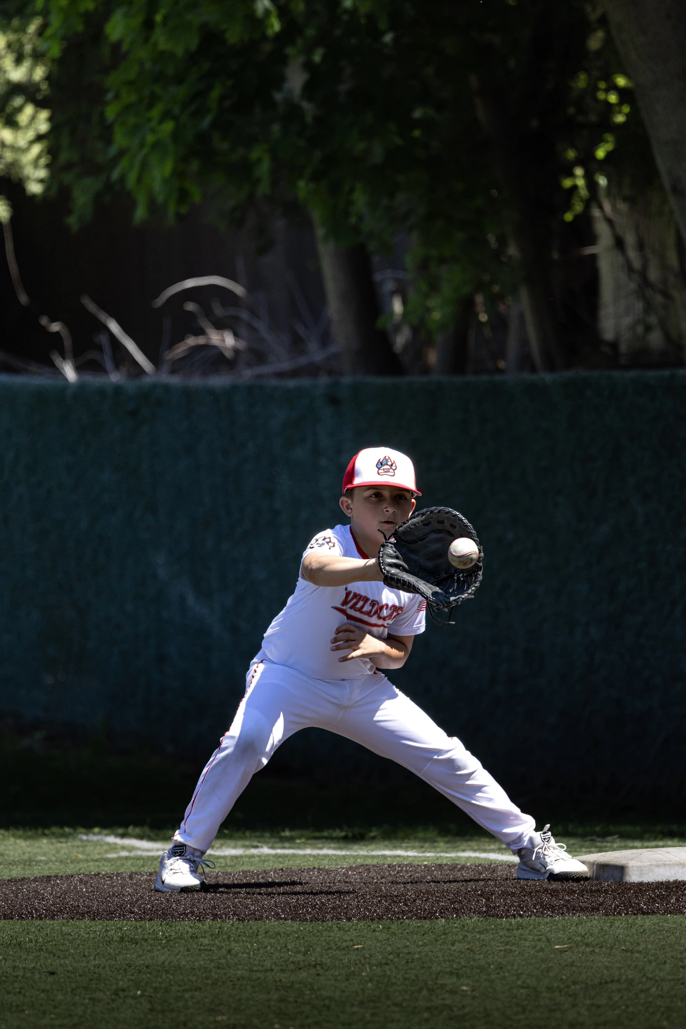 Youth Baseball Catch