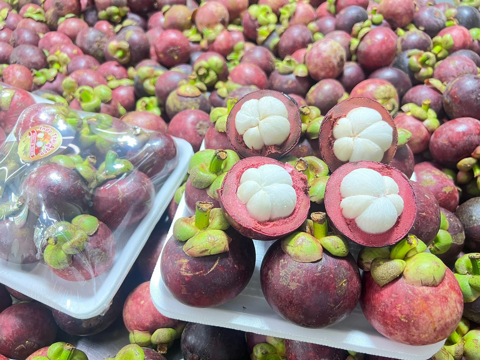 Mangosteen