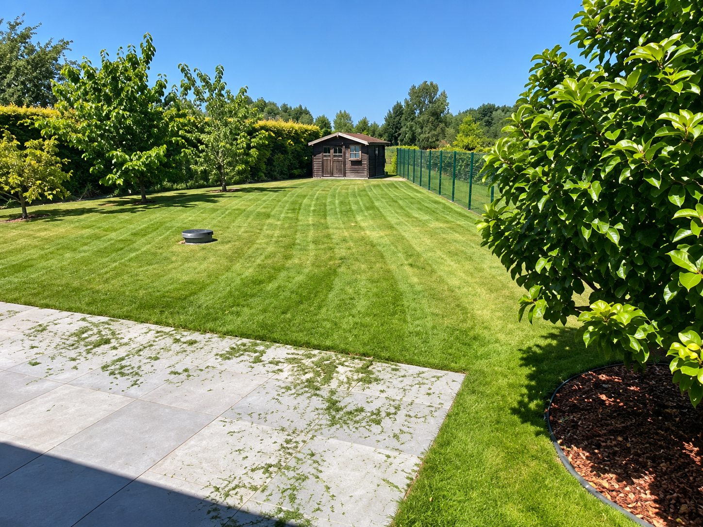 Tuin & Opruiming