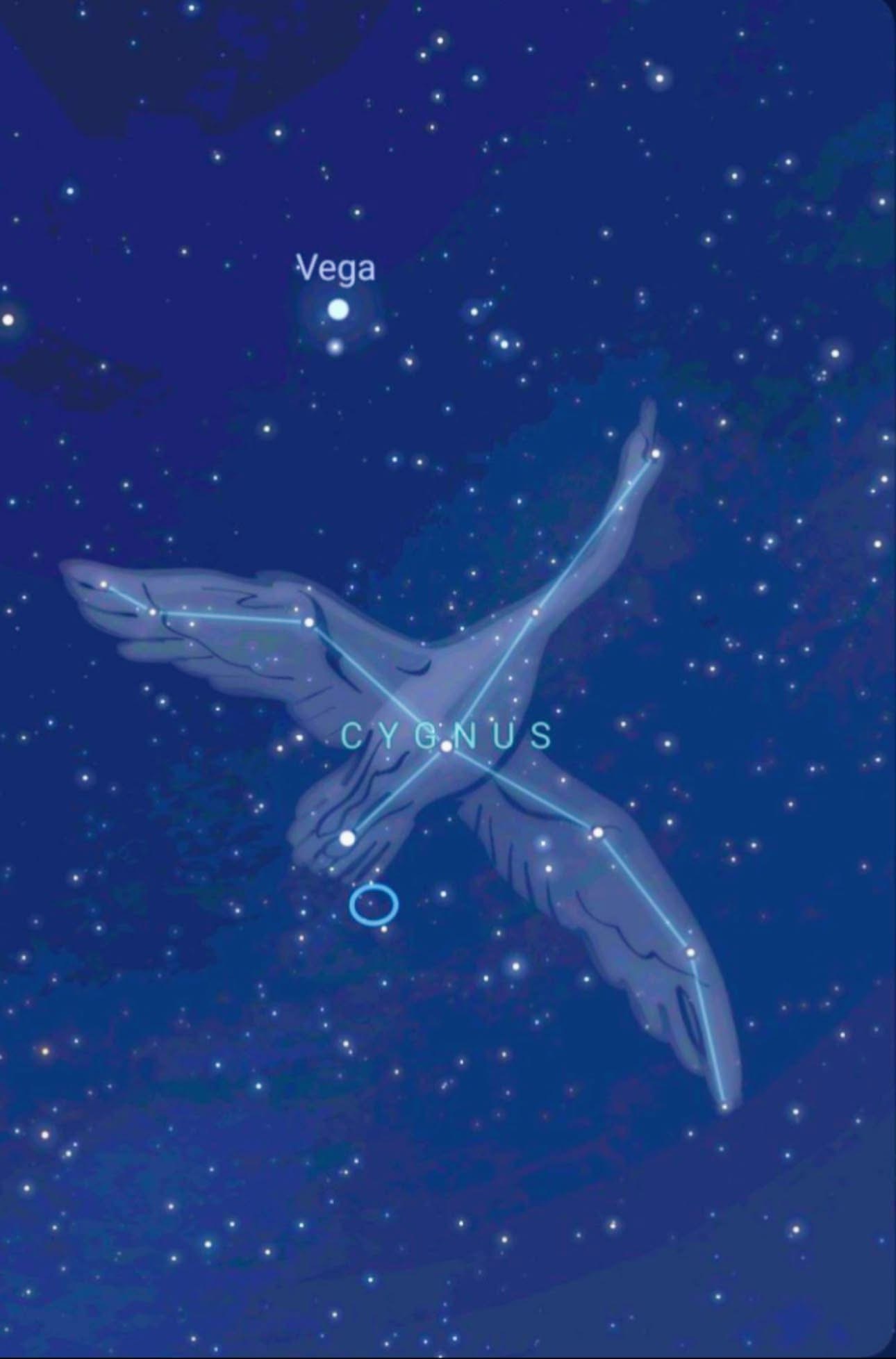 Womb of Sovereignty