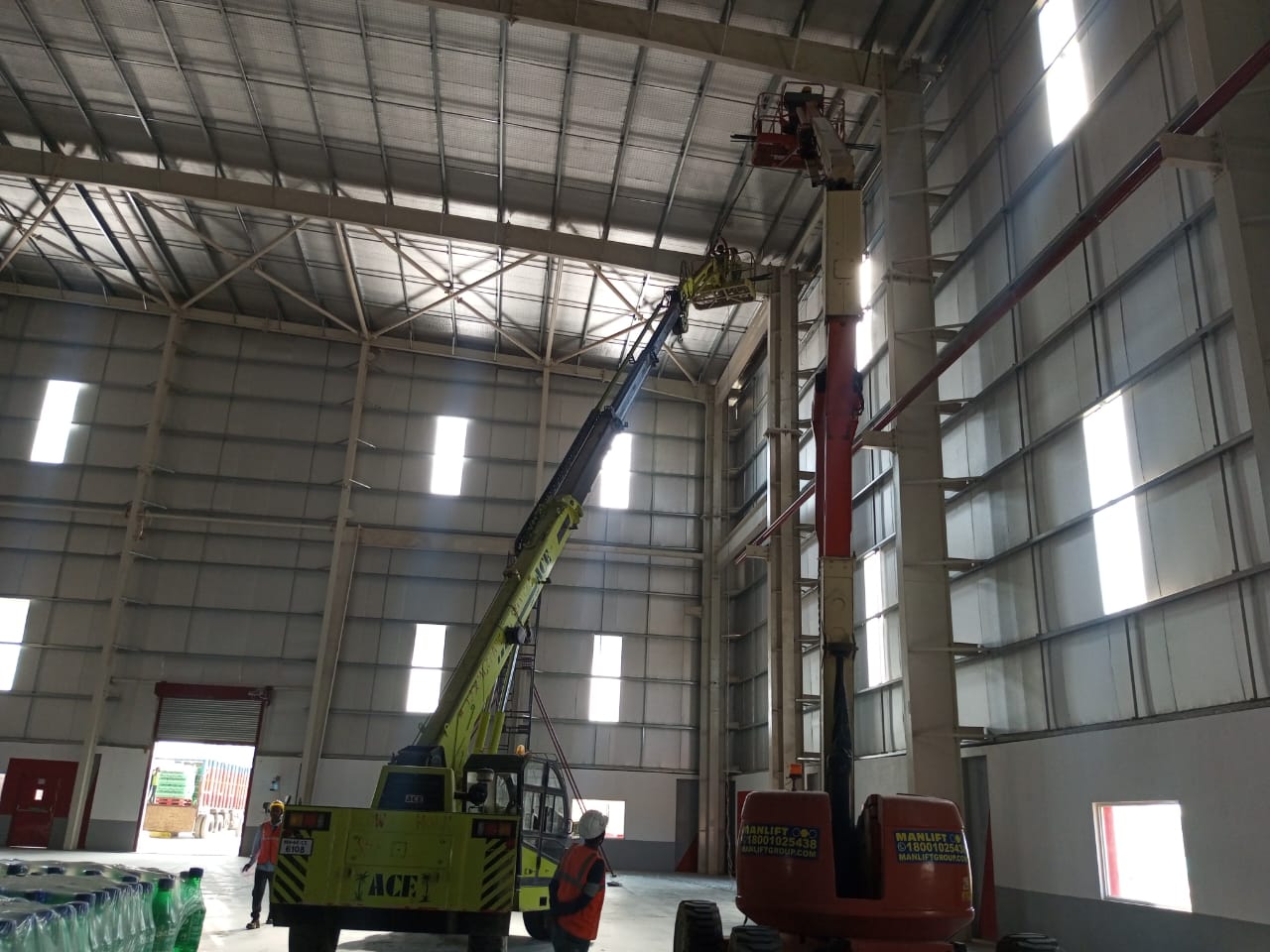 Indoor Plant Work — ACE Farana