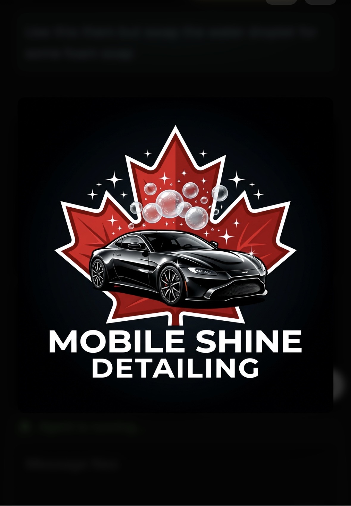 Mobile Shine Detailing Logo