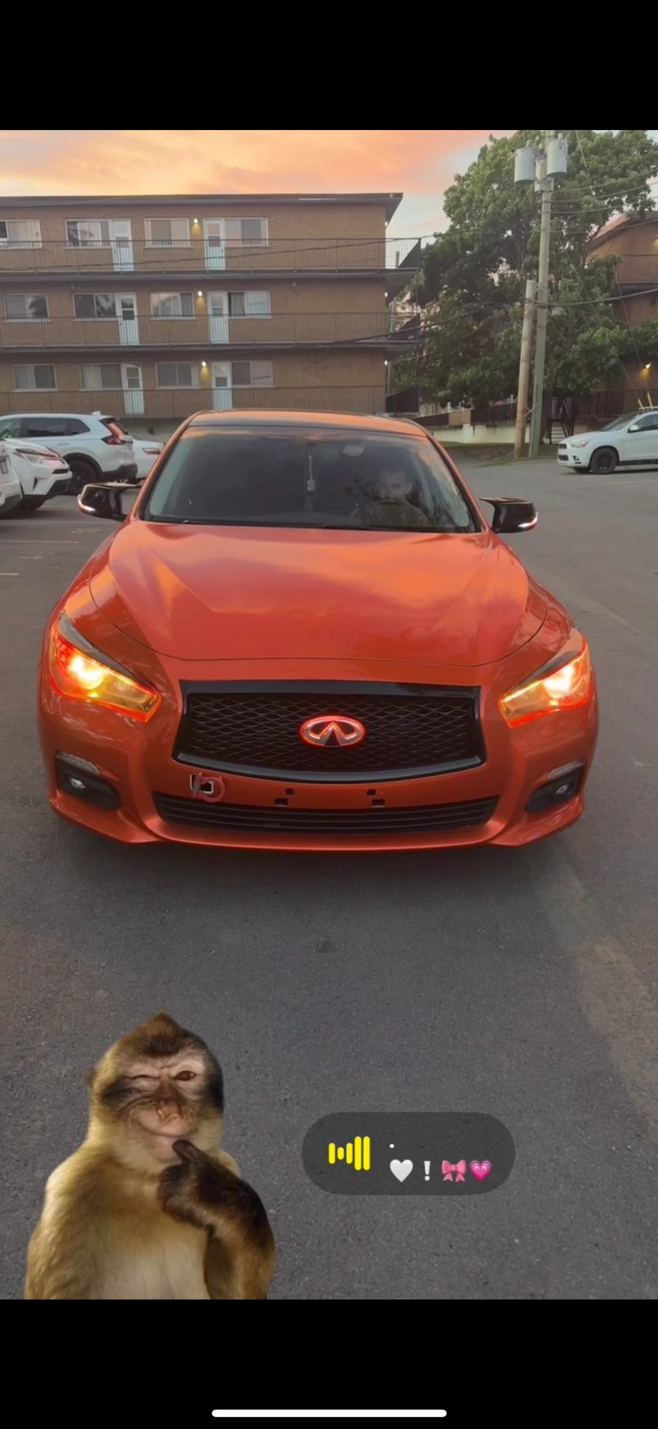 Infiniti Q50 Signature Build
