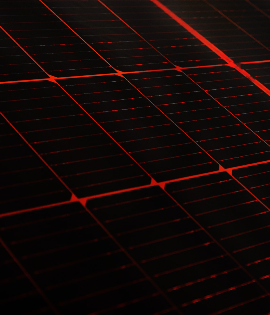 Dettaglio ECO-RED