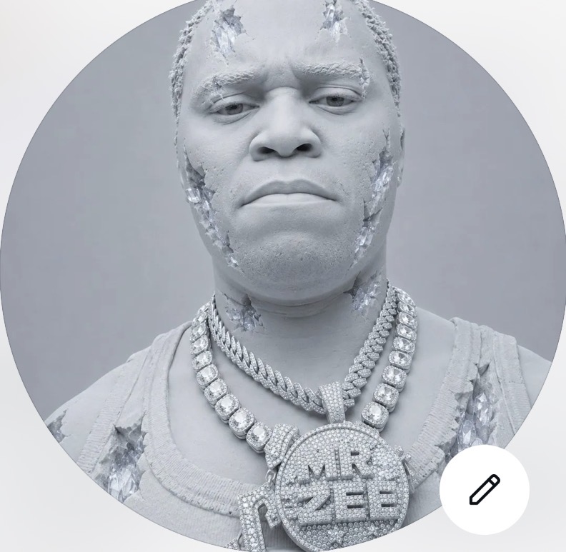 Mr Zee
